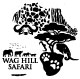 Waghill Safari
